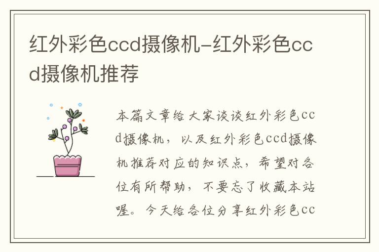 红外彩色ccd摄像机-红外彩色ccd摄像机推荐