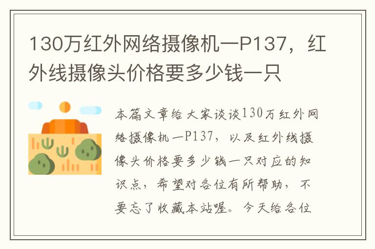 130万红外网络摄像机一P137，红外线摄像头价格要多少钱一只