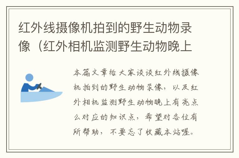 红外线摄像机拍到的野生动物录像（红外相机监测野生动物晚上有亮点么）