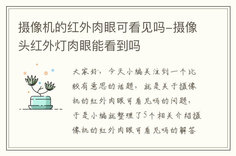 摄像机的红外肉眼可看见吗-摄像头红外灯肉眼能看到吗