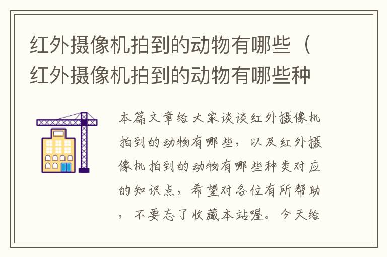 红外摄像机拍到的动物有哪些（红外摄像机拍到的动物有哪些种类）