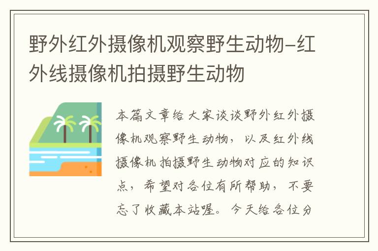 野外红外摄像机观察野生动物-红外线摄像机拍摄野生动物