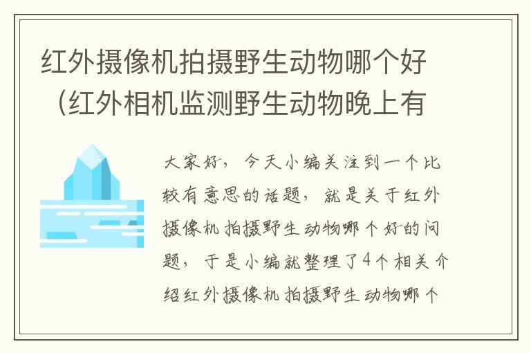 红外摄像机拍摄野生动物哪个好（红外相机监测野生动物晚上有亮点么）