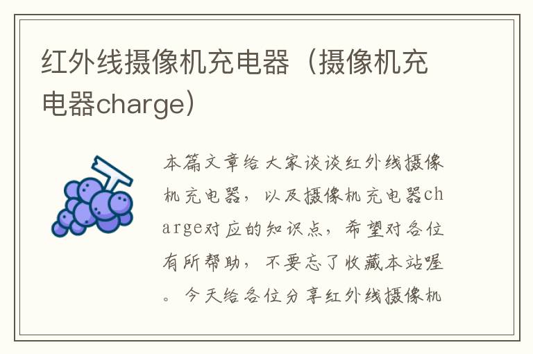 红外线摄像机充电器（摄像机充电器charge）