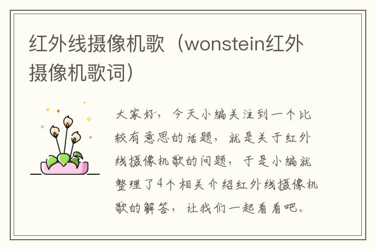 红外线摄像机歌（wonstein红外摄像机歌词）