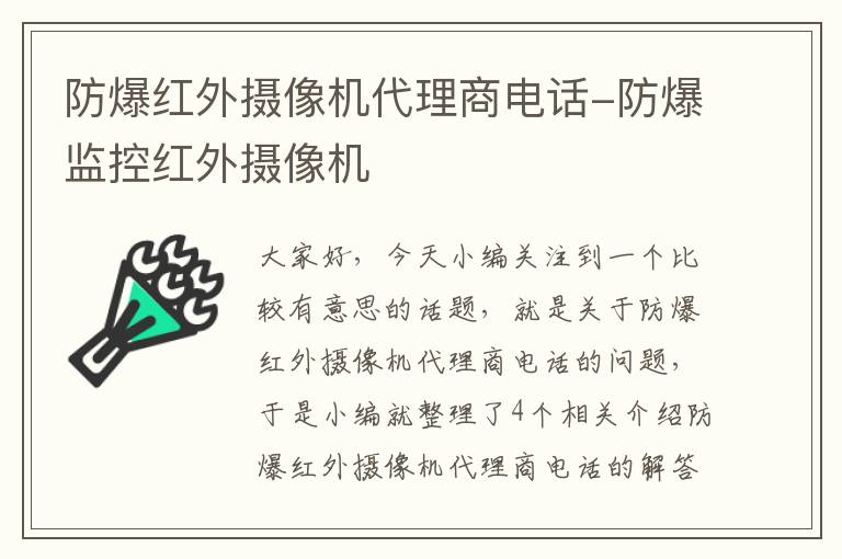 防爆红外摄像机代理商电话-防爆监控红外摄像机