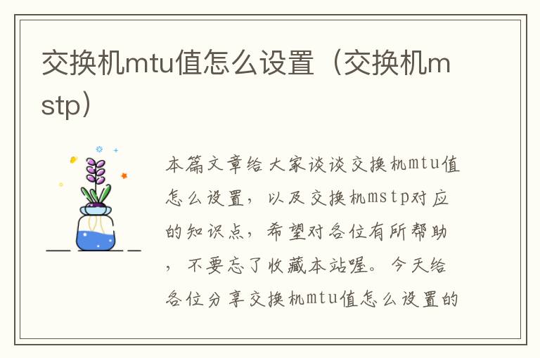 交换机mtu值怎么设置（交换机mstp）