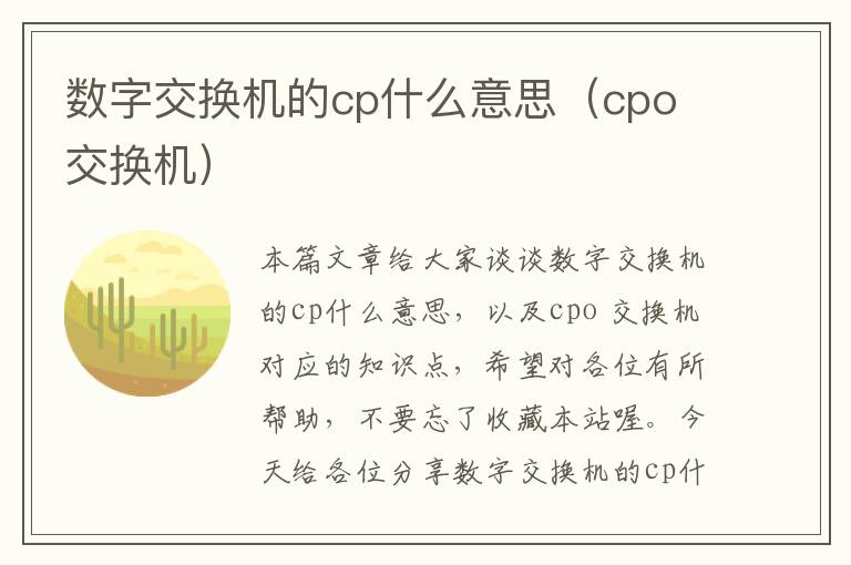 数字交换机的cp什么意思（cpo 交换机）