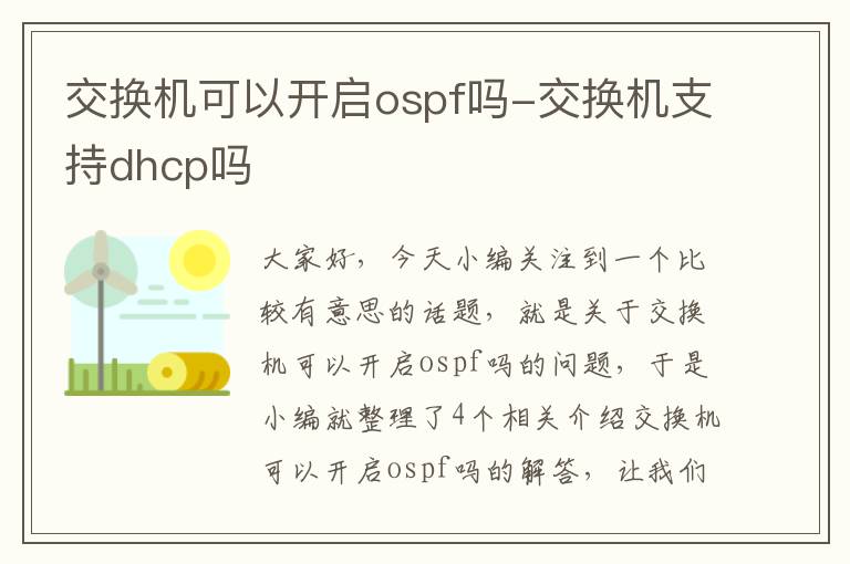 交换机可以开启ospf吗-交换机支持dhcp吗