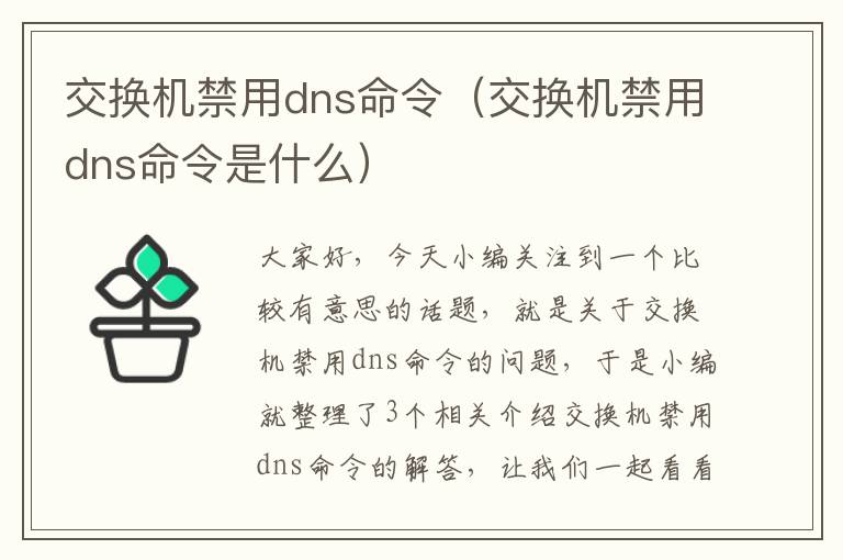 交换机禁用dns命令（交换机禁用dns命令是什么）