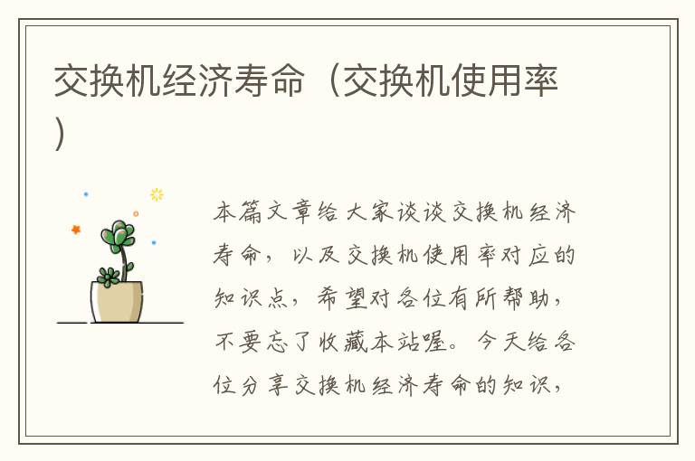 交换机经济寿命（交换机使用率）