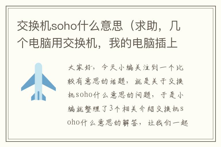 交换机soho什么意思（求助，几个电脑用交换机，我的电脑插上网线后总断网？）