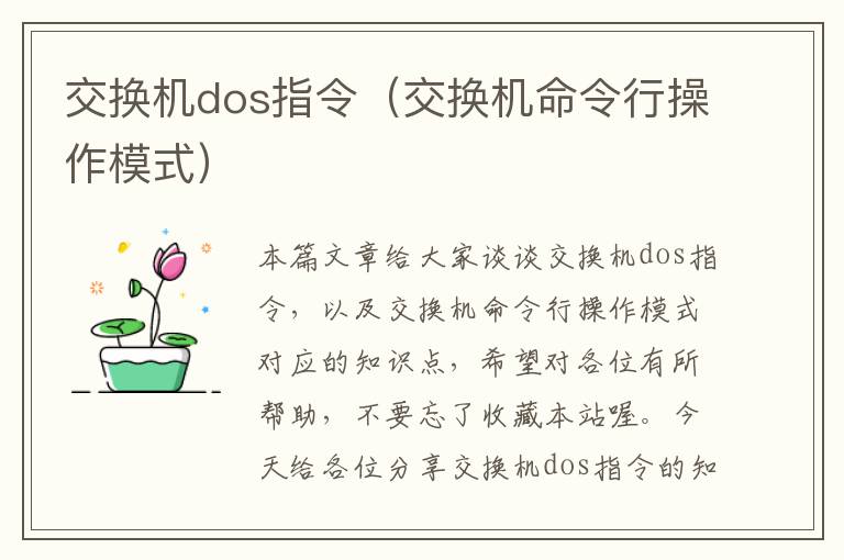 交换机dos指令（交换机命令行操作模式）