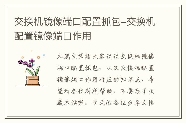 交换机镜像端口配置抓包-交换机配置镜像端口作用