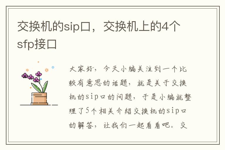 交换机的sip口，交换机上的4个sfp接口