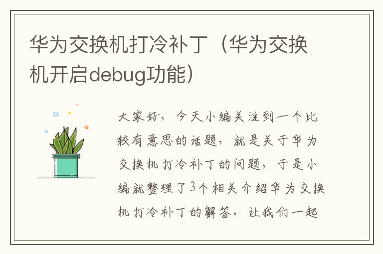 华为交换机打冷补丁（华为交换机开启debug功能）