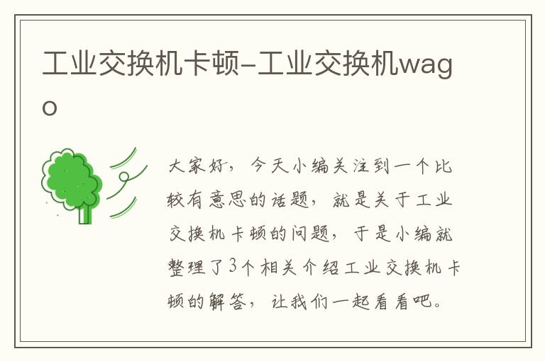 工业交换机卡顿-工业交换机wago