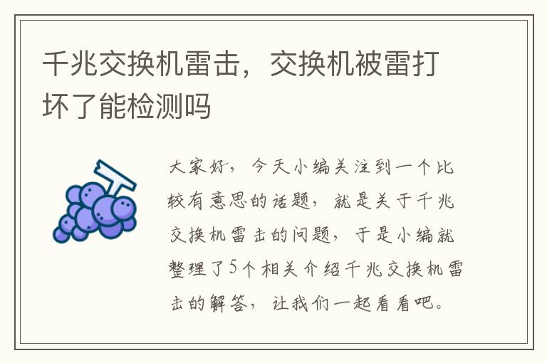 千兆交换机雷击，交换机被雷打坏了能检测吗