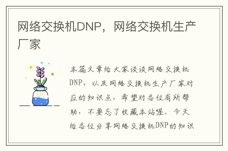 网络交换机DNP，网络交换机生产厂家