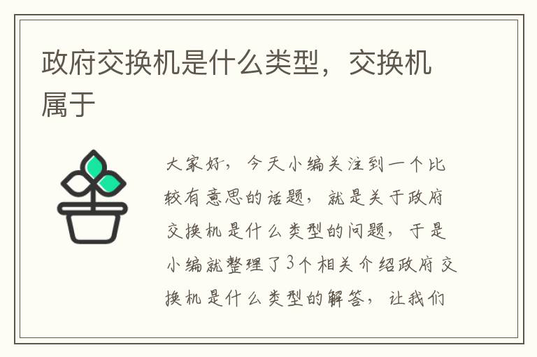 政府交换机是什么类型，交换机属于