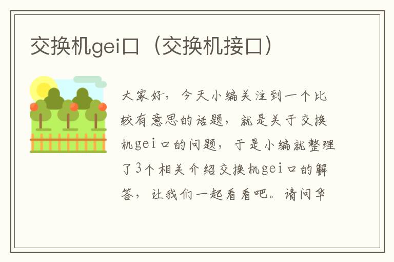 交换机gei口（交换机接口）