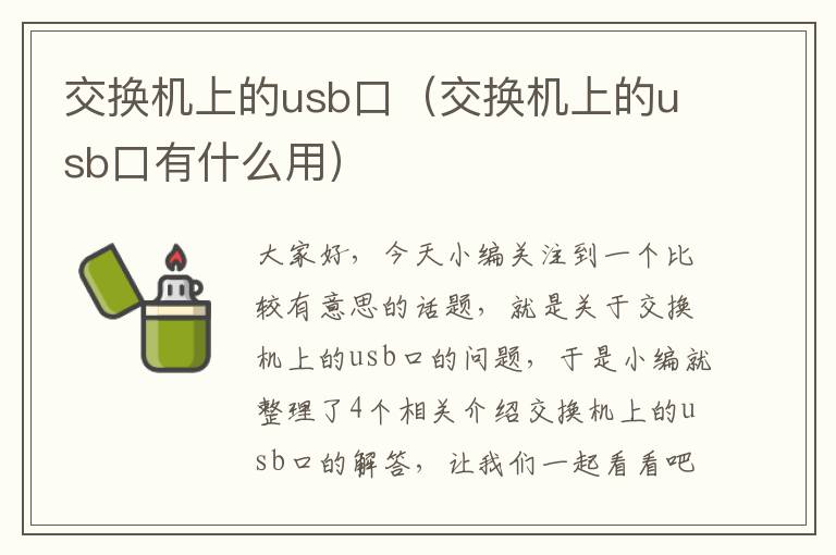 交换机上的usb口（交换机上的usb口有什么用）