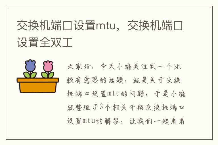 交换机端口设置mtu，交换机端口设置全双工