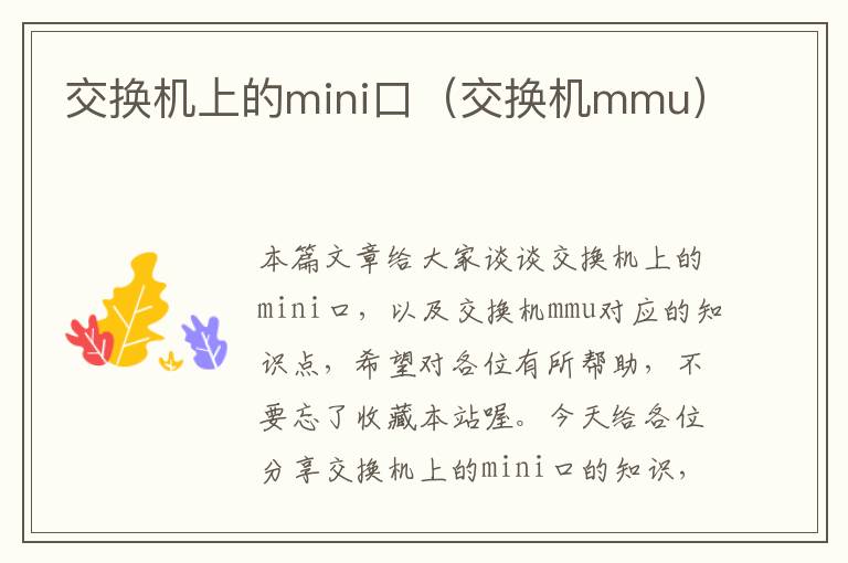 交换机上的mini口（交换机mmu）