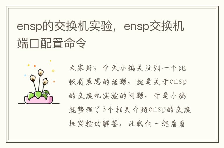 ensp的交换机实验，ensp交换机端口配置命令