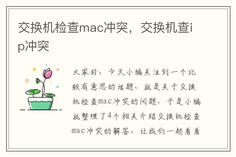 交换机检查mac冲突，交换机查ip冲突