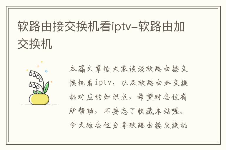 软路由接交换机看iptv-软路由加交换机