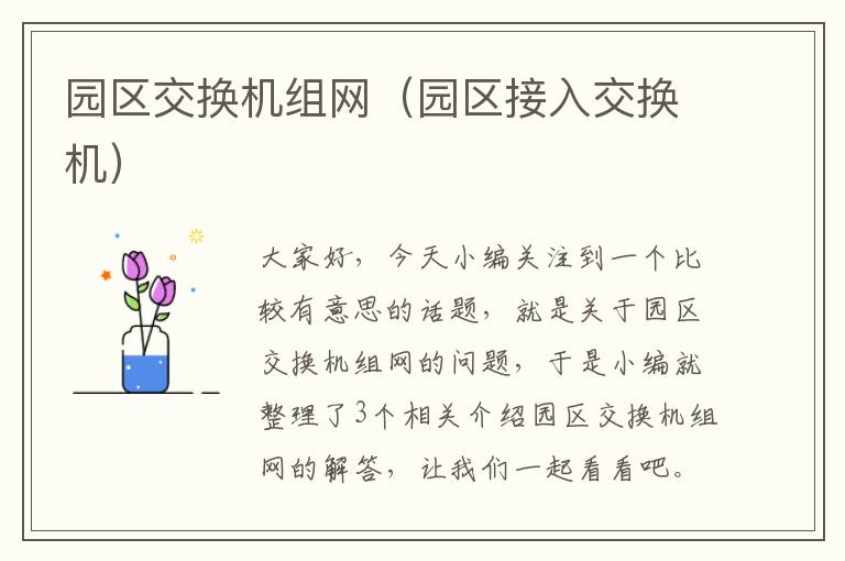 园区交换机组网（园区接入交换机）