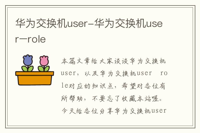 华为交换机user-华为交换机user–role