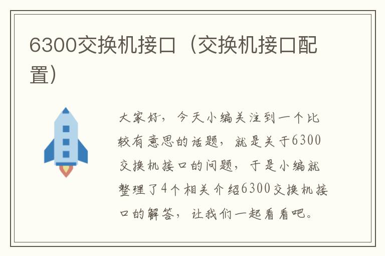 6300交换机接口（交换机接口配置）