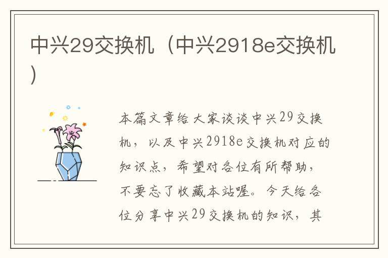 中兴29交换机（中兴2918e交换机）