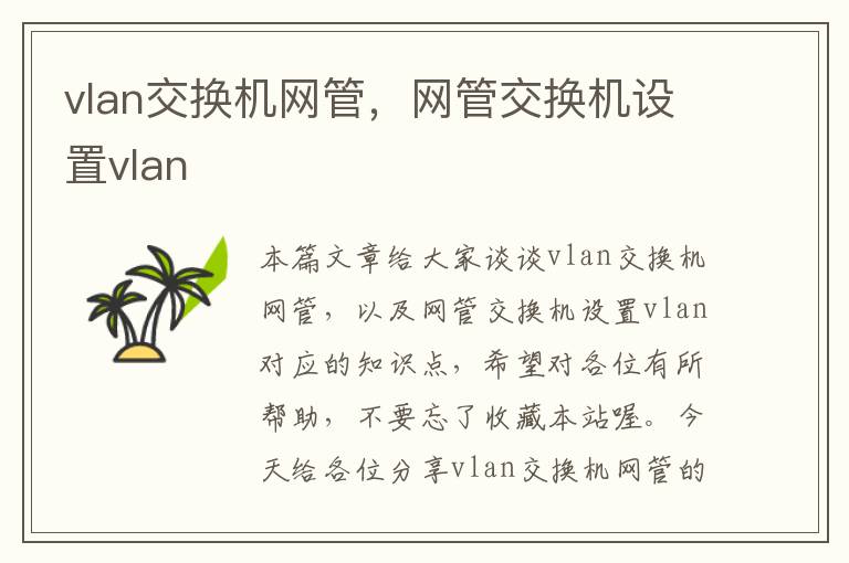 vlan交换机网管，网管交换机设置vlan