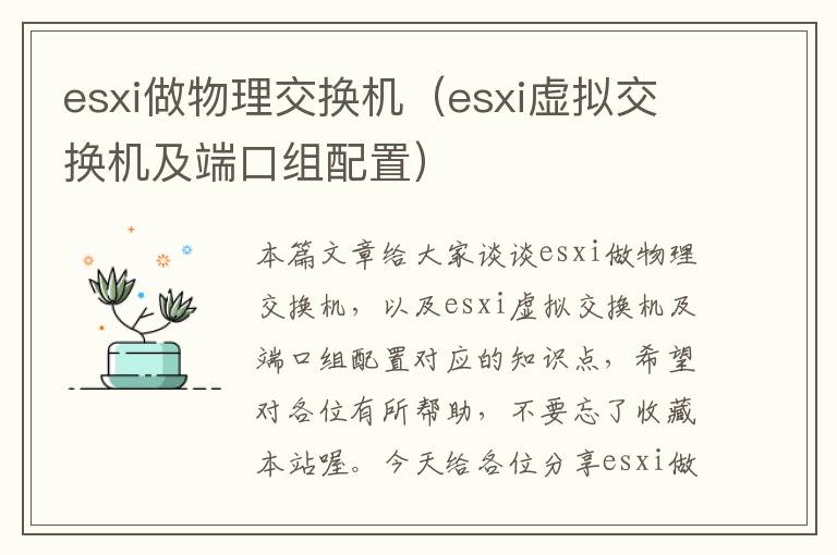 esxi做物理交换机（esxi虚拟交换机及端口组配置）