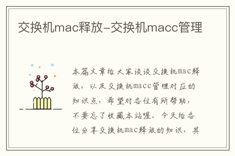 交换机mac释放-交换机macc管理