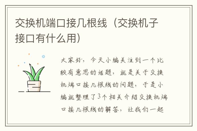 交换机端口接几根线（交换机子接口有什么用）