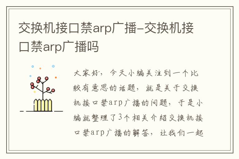 交换机接口禁arp广播-交换机接口禁arp广播吗