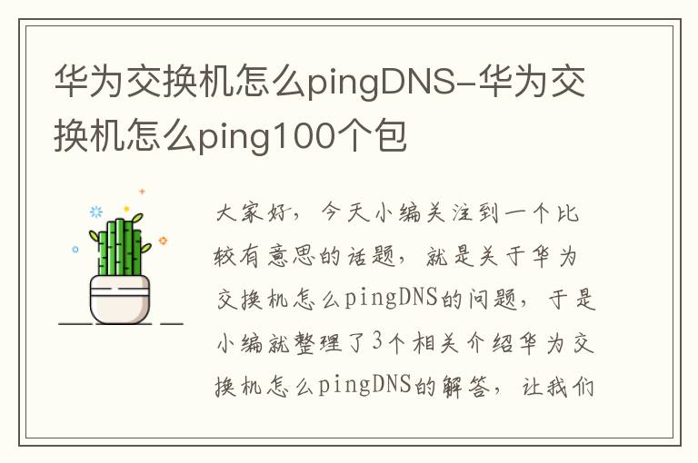 华为交换机怎么pingDNS-华为交换机怎么ping100个包