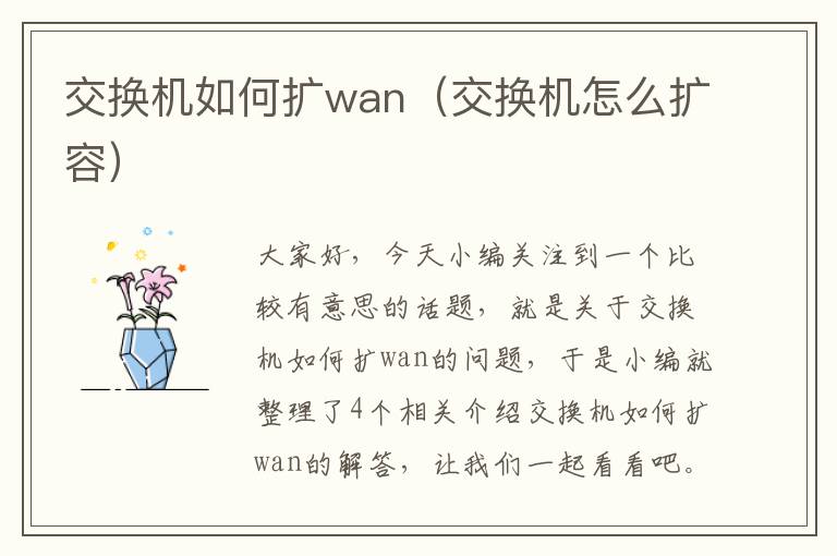 交换机如何扩wan（交换机怎么扩容）