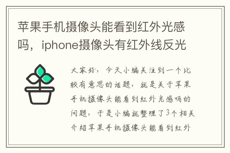 苹果手机摄像头能看到红外光感吗，iphone摄像头有红外线反光灯吗