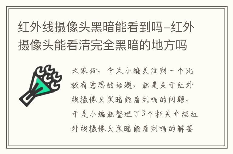 红外线摄像头黑暗能看到吗-红外摄像头能看清完全黑暗的地方吗