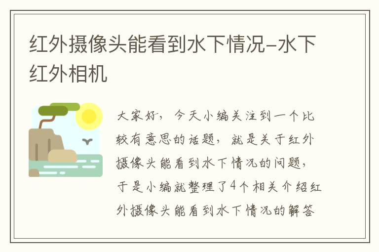 红外摄像头能看到水下情况-水下红外相机