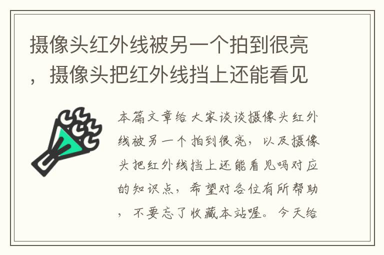 摄像头红外线被另一个拍到很亮，摄像头把红外线挡上还能看见吗