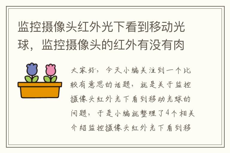 监控摄像头红外光下看到移动光球，监控摄像头的红外有没有肉眼看不到的