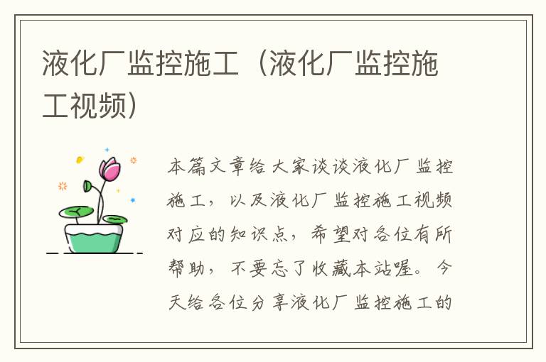 液化厂监控施工（液化厂监控施工视频）