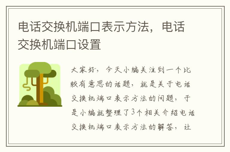 电话交换机端口表示方法，电话交换机端口设置