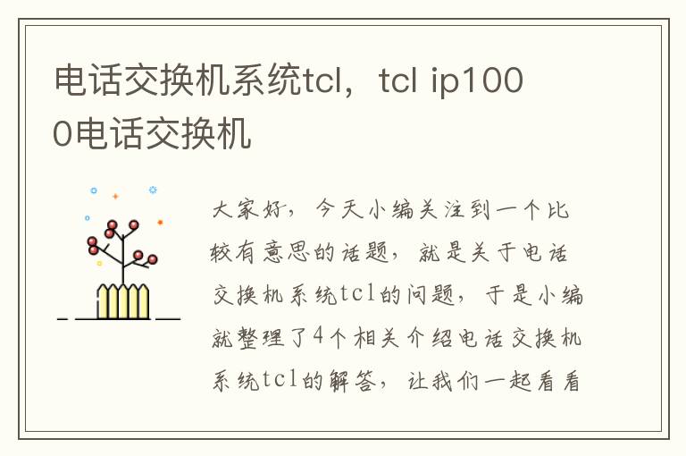 电话交换机系统tcl，tcl ip1000电话交换机